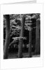 Beach Forest, Netherlands, 1971 by Anonymous