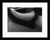 Dune by Anonymous
