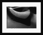 Dune by Anonymous