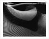 Dune by Anonymous