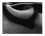 Dune by Anonymous