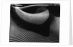 Dune by Anonymous