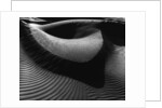 Dune by Anonymous