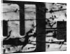 Cracked Painted Sign by Anonymous