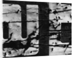 Cracked Painted Sign by Anonymous
