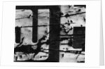 Cracked Painted Sign by Anonymous