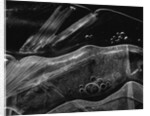 Ice Form, Oregon, 1969 by Anonymous