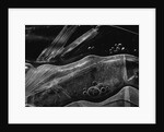 Ice Form, Oregon, 1969 by Anonymous