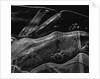 Ice Form, Oregon, 1969 by Anonymous