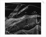 Ice Form, Oregon, 1969 by Anonymous