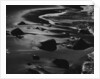 Surf, California, 1975 by Anonymous