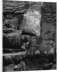 Glen Canyon, 1975 by Anonymous