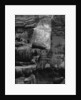 Glen Canyon, 1975 by Anonymous