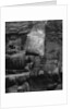 Glen Canyon, 1975 by Anonymous