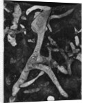 Rock Forms, 1966 by Anonymous