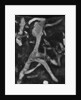 Rock Forms, 1966 by Anonymous