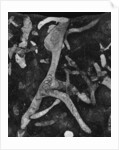 Rock Forms, 1966 by Anonymous