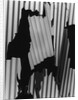 Corrugated Plastic, Alaska, 1973 by Anonymous