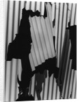 Corrugated Plastic, Alaska, 1973 by Anonymous
