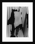 Corrugated Plastic, Alaska, 1973 by Anonymous