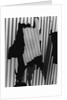Corrugated Plastic, Alaska, 1973 by Anonymous