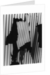 Corrugated Plastic, Alaska, 1973 by Anonymous