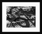 Wood In Sand by Anonymous