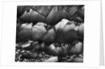 Rocks by Anonymous