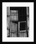 Bars Over Window by Anonymous