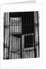 Bars Over Window by Anonymous