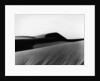 Dune, Oceano, 1934 by Anonymous