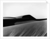 Dune, Oceano, 1934 by Anonymous