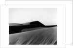 Dune, Oceano, 1934 by Anonymous
