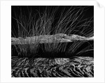 Grass and Lava by Anonymous