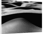 Dune Landscape by Anonymous