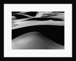 Dune Landscape by Anonymous