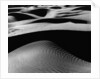 Dune Landscape by Anonymous
