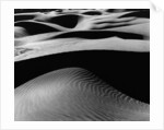 Dune Landscape by Anonymous
