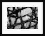 Seaside Rocks by Anonymous