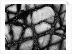 Seaside Rocks by Anonymous