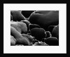 Rounded Rocks by Anonymous
