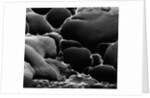 Rounded Rocks by Anonymous