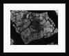 Cracked Mud by Anonymous