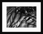 Branches in Sand by Anonymous