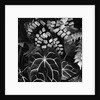 Leaves by Anonymous