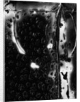 Glass Abstraction by Anonymous