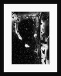 Glass Abstraction by Anonymous