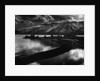 Mono Lake by Anonymous