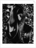 Kelp by Anonymous