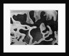Liquid Abstraction, California, 1956 by Anonymous